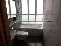 The Parc Condominium (D5), Condominium #450748161